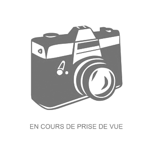 FAAC - RP RELAIS